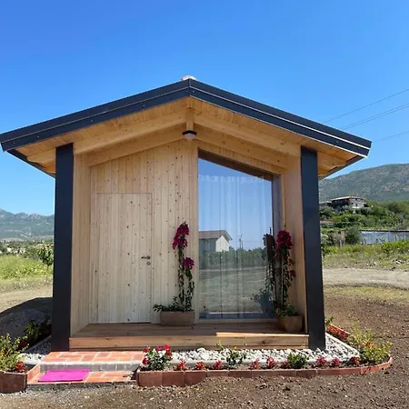 Fishta - Mrizi I Zanave Holiday home *