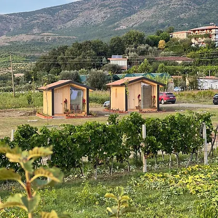 Fishta - Mrizi I Zanave Holiday home *