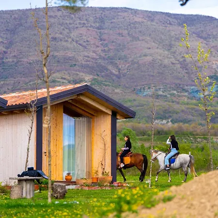 Fishta - Mrizi I Zanave Holiday home Fishte
