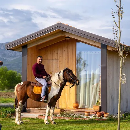 Holiday home Fishta - Mrizi I Zanave *