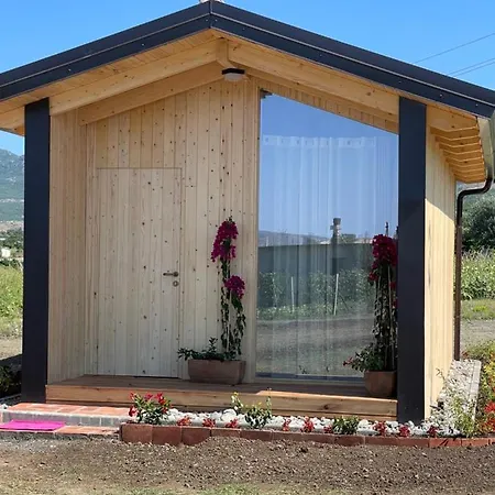 Fishta - Mrizi I Zanave