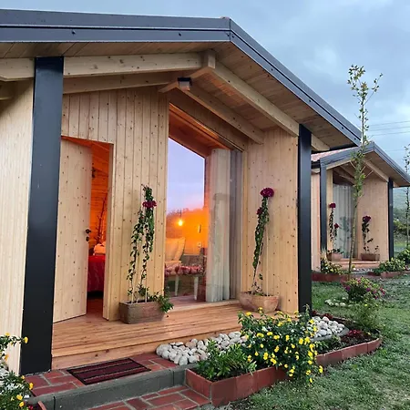 Fishta - Mrizi I Zanave Fishte