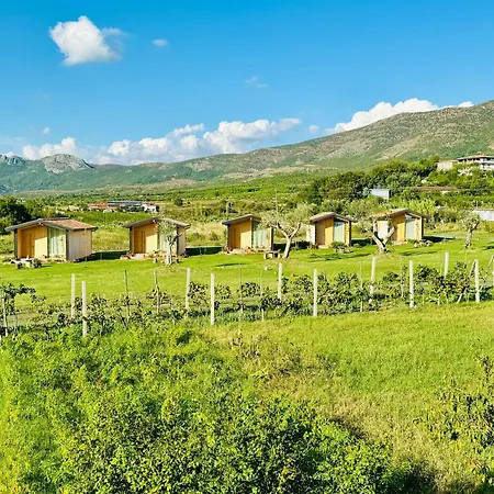 Fishta - Mrizi I Zanave *