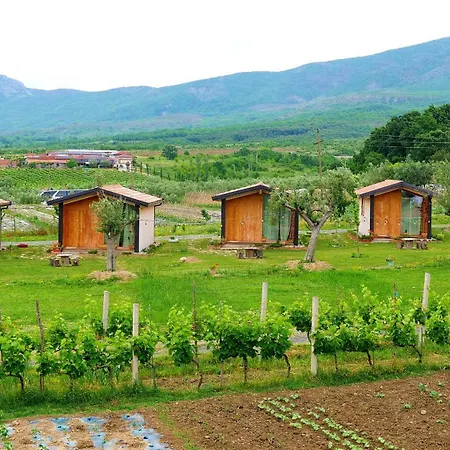 Fishta - Mrizi I Zanave Fishte