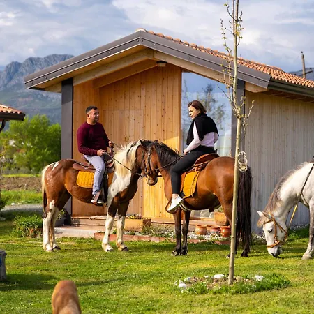 Fishta - Mrizi I Zanave *