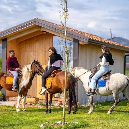 Fishta - Mrizi I Zanave Fishte