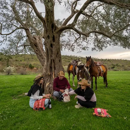 Fishta - Mrizi I Zanave