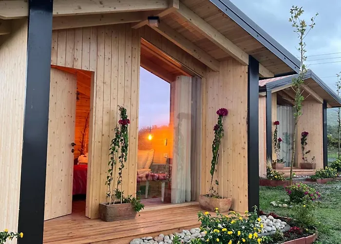 Fishta - Mrizi I Zanave Fishte