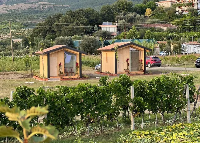 Fishta - Mrizi I Zanave Ferienhaus *