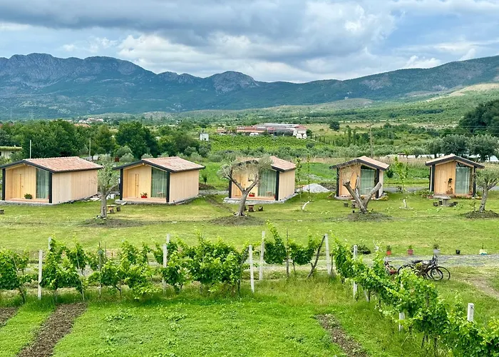 Fishta - Mrizi I Zanave