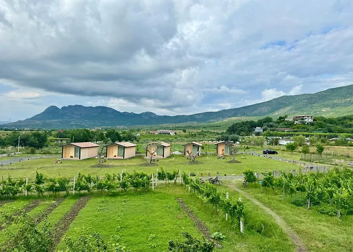 Fishta - Mrizi I Zanave Fishte