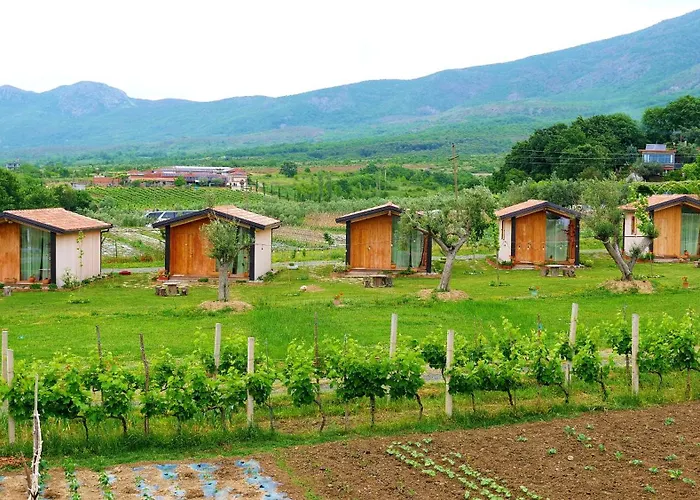 Fishta - Mrizi I Zanave Fishte