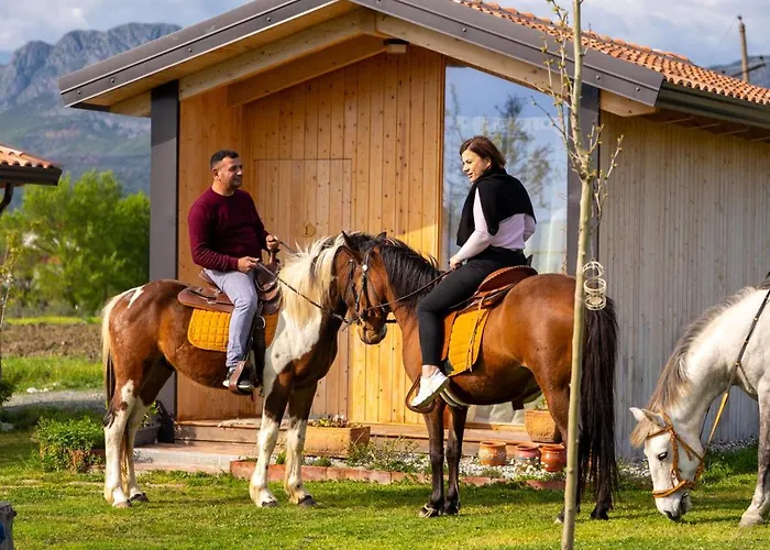 Fishta - Mrizi I Zanave *