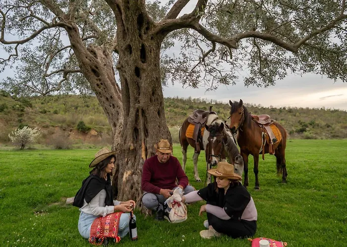 Fishta - Mrizi I Zanave