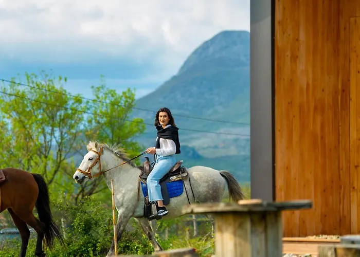 Fishta - Mrizi I Zanave Fishte